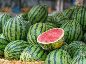 Коли сезон кавунів 2026 в Україні: період найсмачніших баштанних